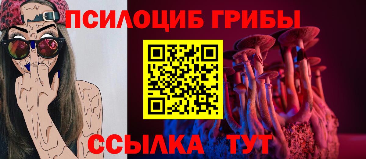 Псилоцибиновые грибы ЛСД  Галлюциногенные грибы Magic Shrooms  Егорьевск  Вход с VPN 