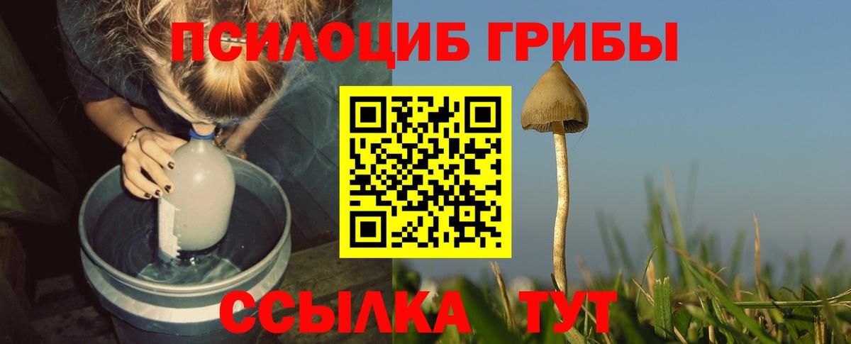 Галлюциногенные грибы GOLDEN TEACHER Егорьевск
