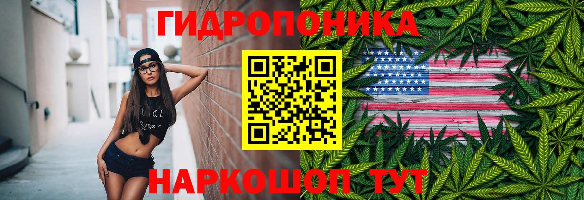 Канабис семена  Конопля Ganja  Канабис сатива  Конопля планчик  Вход с VPN  Егорьевск 